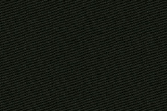 Dormeuil Fabric Green Plain 93% Cotton 5% Cashmere 2% Elastane (Ref-793805)