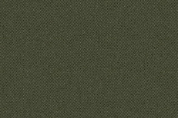 Dormeuil Fabric Green Plain 97% Cotton 3% Elastane (Ref-885407)