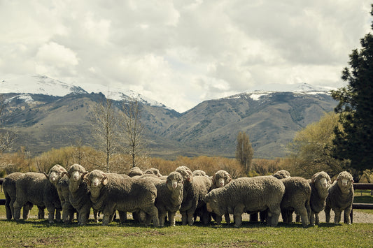 Patagonia: the home of Dormeuil’s Tonik® Wool suit fabric