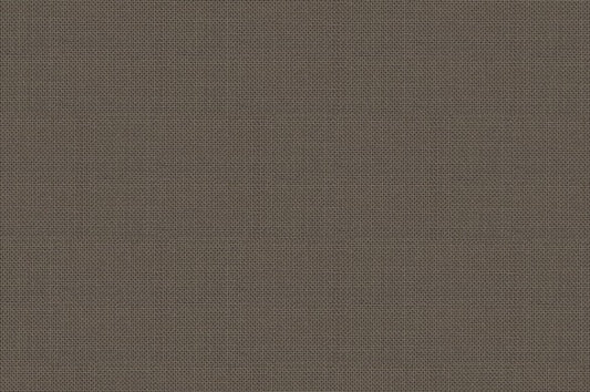 Dormeuil Fabric Beige Plain 100% Wool (Ref-290803)