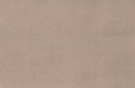 Dormeuil Fabric Beige Plain 100% Wool (Ref-301704)