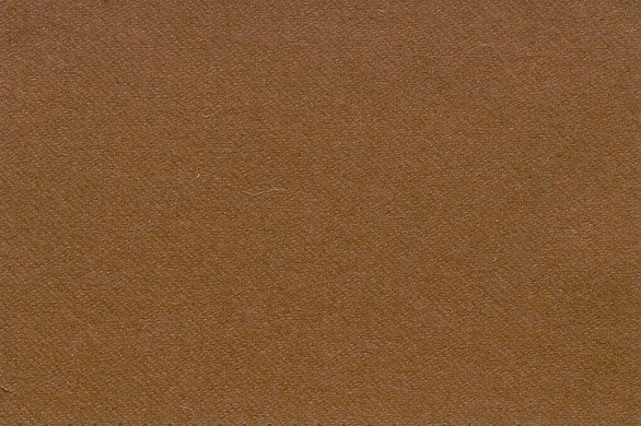 Dormeuil Fabric Camel Plain 100% Vicuna (Ref-513018)