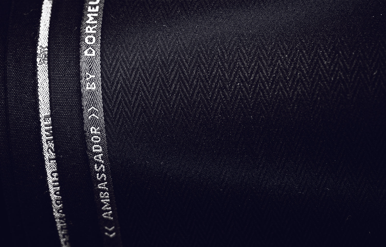 dormeuil ambassador fabric