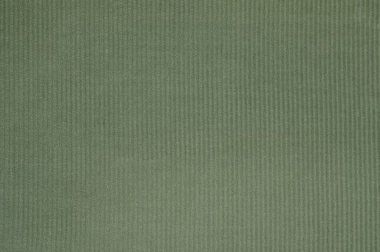 Dormeuil Fabric Green Velvet 100% Cotton (Ref-770135)