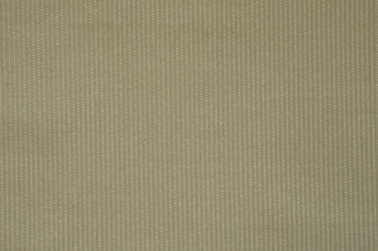 Dormeuil Fabric Grey Velvet 100% Cotton (Ref-770136)