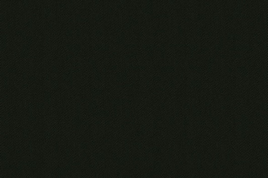 Dormeuil Fabric Green Plain 93% Cotton 5% Cashmere 2% Elastane (Ref-793805)