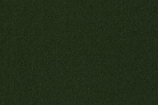 Dormeuil Fabric Green Plain 100% Cashmere (Ref-795328)