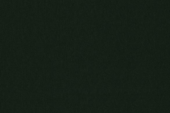 Dormeuil Fabric Green Plain 100% Cashmere (Ref-795336)