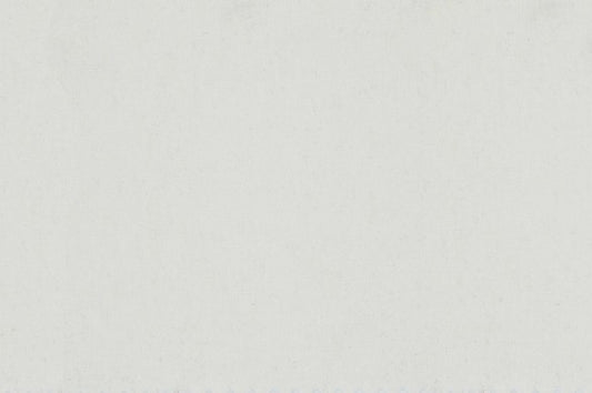 Dormeuil Fabric White Plain 100% Cashmere (Ref-795375)