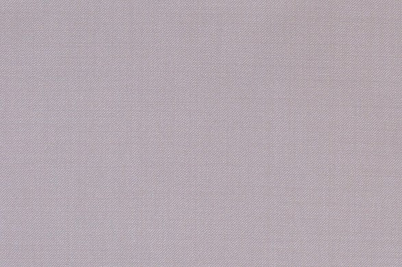 Dormeuil Fabric Beige Plain 100% Wool (Ref-839163)