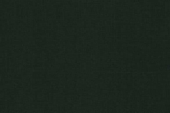 Dormeuil Fabric Green Plain 99% Wool 1% Lycra (Ref-839501)