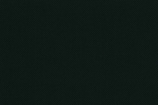 Dormeuil Fabric Green Birdseye 100% Wool (Ref-843465)