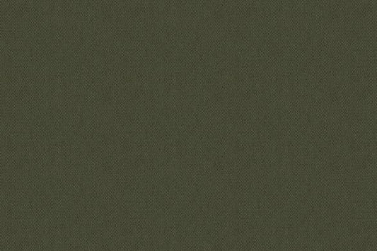 Dormeuil Fabric Green Twill 97% Cotton 3% Elastane (Ref-885407)