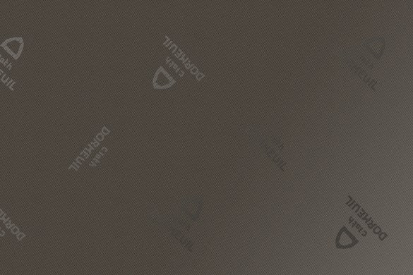 Dormeuil Fabric Grey Plain 100% Viscose (Ref-899357)