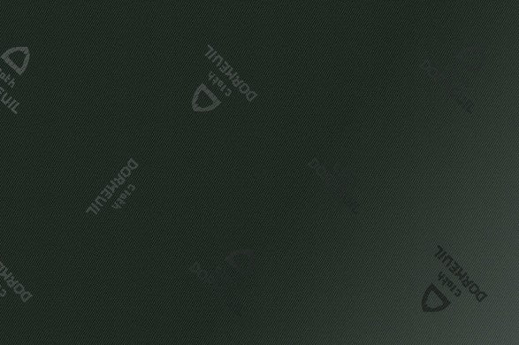 Dormeuil Fabric Green Plain 100% Viscose (Ref-899362)