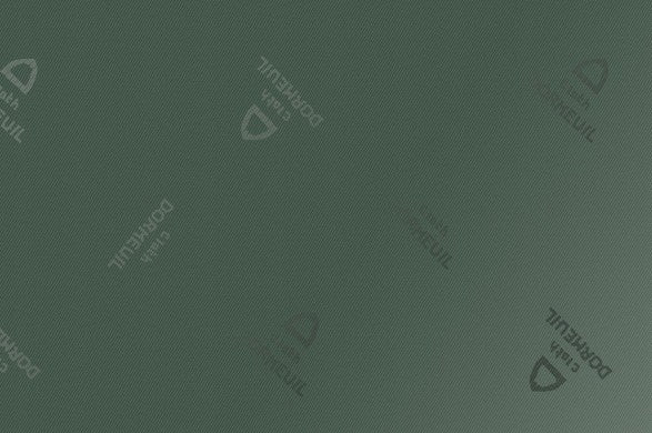 Dormeuil Fabric Green Plain 100% Viscose (Ref-899363)