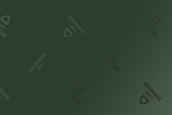 Dormeuil Fabric Green Plain 52% Viscose 48% Acetate (Ref-899484)