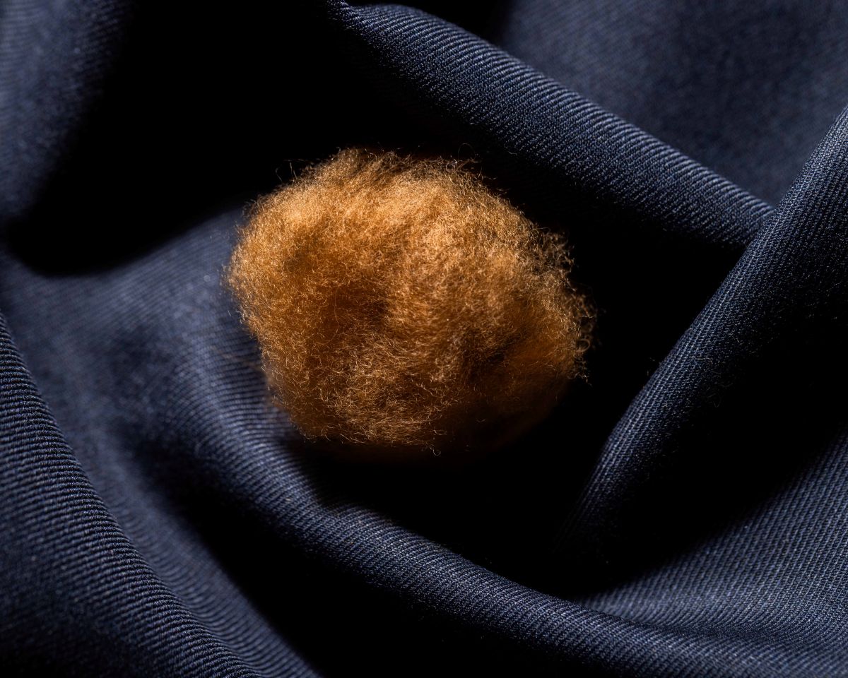 Our Bunches – Dormeuil